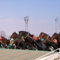 北海道遺産「ばんえい競馬」、堅調な売り上げを支えるアイディア