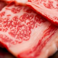 肉に替わる新タンパク源を探せ！将来の「タンパク質危機」に挑むフードテック企業《1》